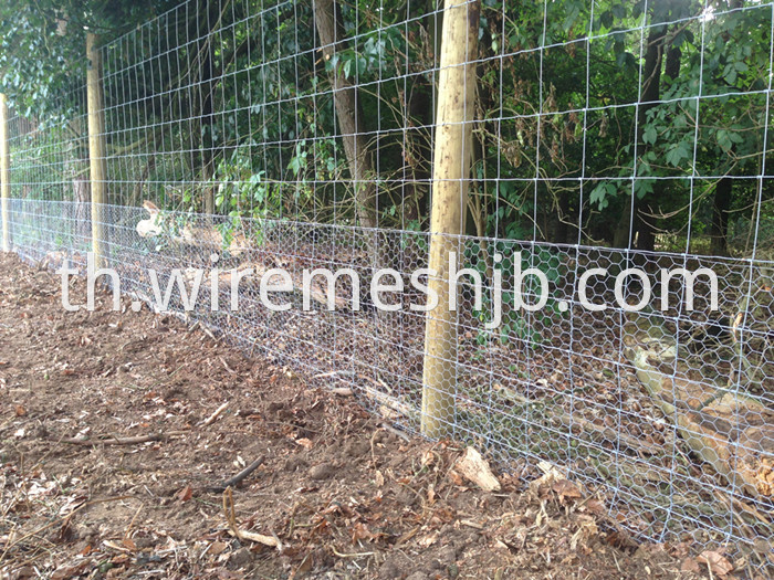 Hinge Joint Field Fence